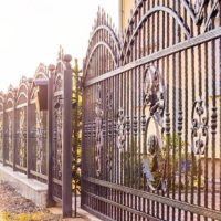 Iron fence with iron gate